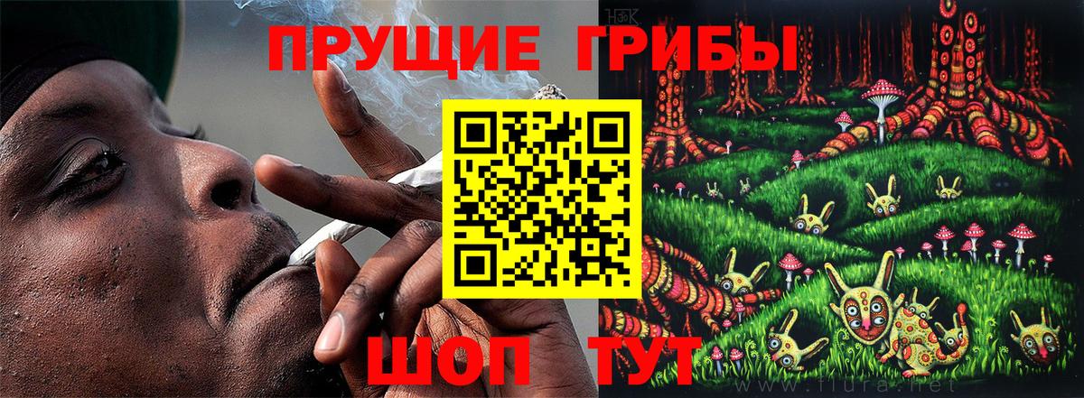 Псилоцибиновые грибы MAGIC MUSHROOMS  Галлюциногенные грибы Psilocybe  Кострома  Вход с VPN 