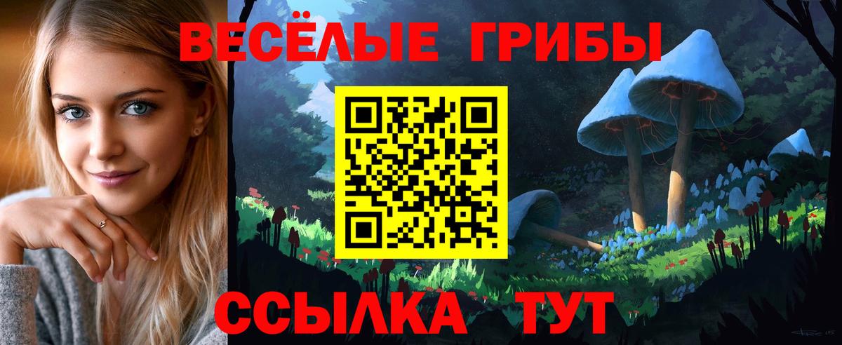 Галлюциногенные грибы GOLDEN TEACHER Кострома