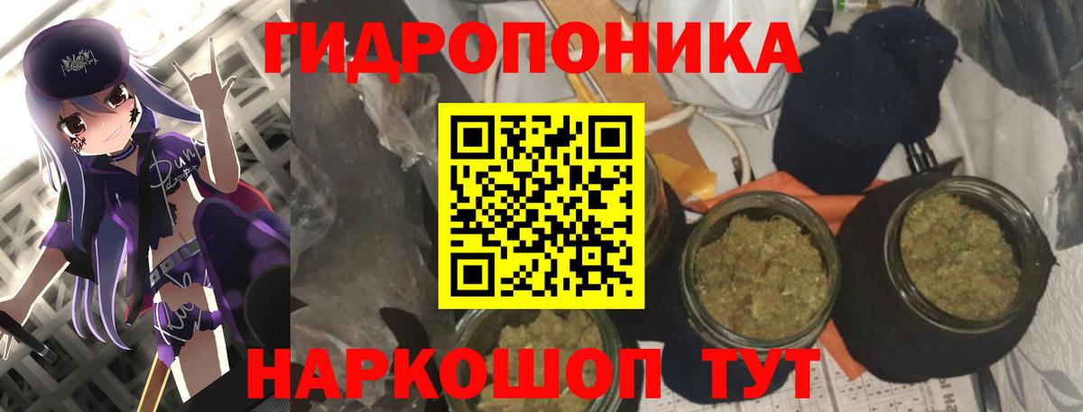 Бошки Шишки THC 21%  Бошки марихуана Ganja  Вход с VPN  Кострома  Бошки марихуана семена  Бошки Шишки Ganja 